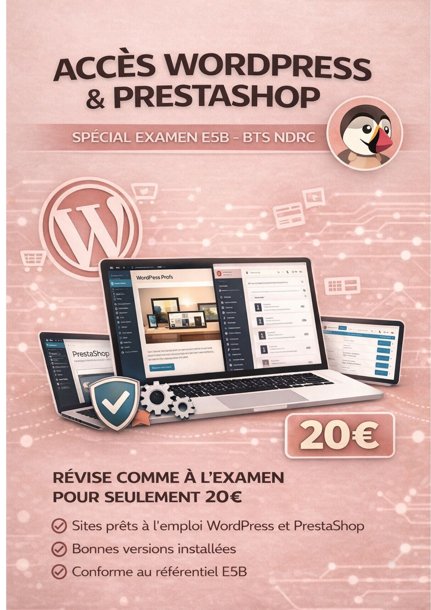 Accès Wordpress et Prestashop - Entrainement pratique E5B - BTS NDRC